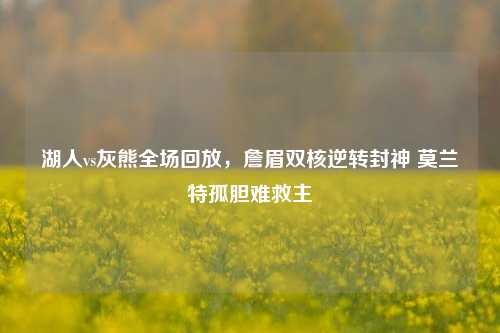 湖人vs灰熊全场回放,詹眉双核逆转封神 莫兰特孤胆难救主