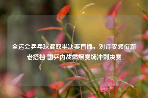 全运会乒乓球混双半决赛直播,刘诗雯领衔新老搭档 国乒内战燃爆赛场冲刺决赛