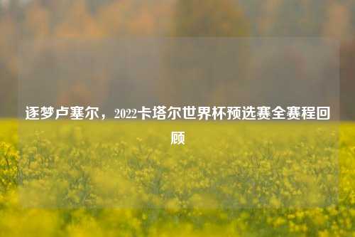 逐梦卢塞尔,2022卡塔尔世界杯预选赛全赛程回顾