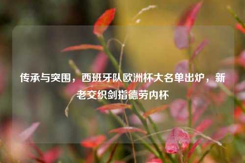 传承与突围,西班牙队欧洲杯大名单出炉,新老交织剑指德劳内杯