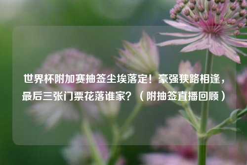 世界杯附加赛抽签尘埃落定!豪强狭路相逢,最后三张门票花落谁家?(附抽签直播回顾)