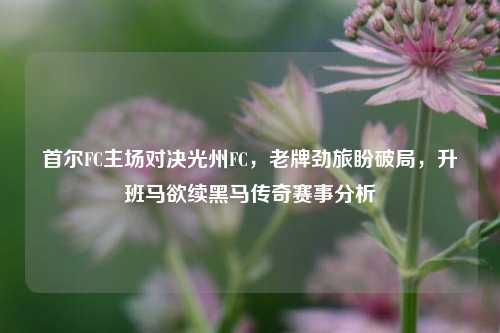 首尔FC主场对决光州FC,老牌劲旅盼破局,升班马欲续黑马传奇赛事分析