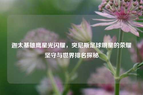 迦太基雄鹰星光闪耀，突尼斯足球明星的荣耀坚守与世界排名探秘