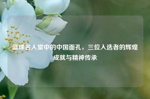 篮球名人堂中的中国面孔,三位入选者的辉煌成就与精神传承