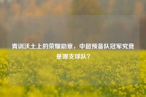 青训沃土上的荣耀勋章，中超预备队冠军究竟是哪支球队？