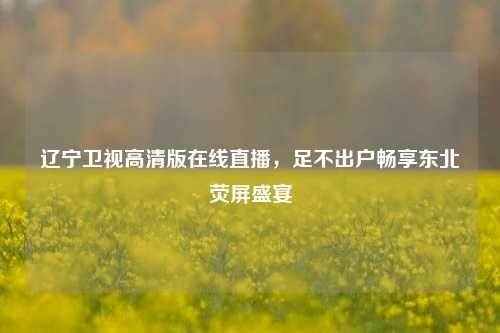 辽宁卫视高清版在线直播，足不出户畅享东北荧屏盛宴