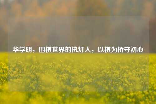 华学明,围棋世界的执灯人,以棋为桥守初心
