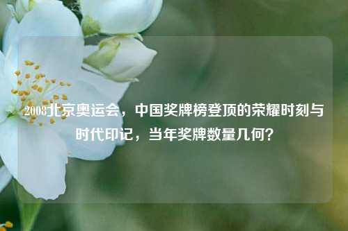 2008北京奥运会,中国奖牌榜登顶的荣耀时刻与时代印记,当年奖牌数量几何?