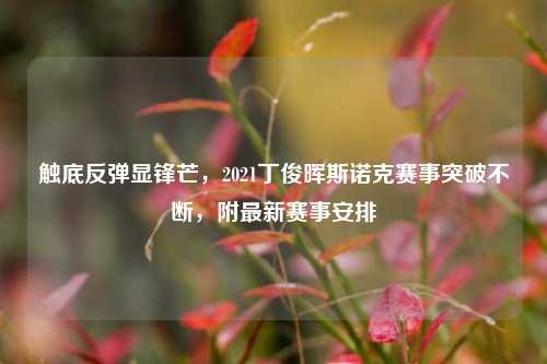 触底反弹显锋芒,2021丁俊晖斯诺克赛事突破不断,附最新赛事安排