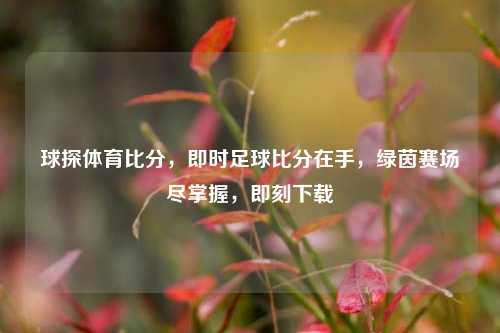 球探体育比分,即时足球比分在手,绿茵赛场尽掌握,即刻下载
