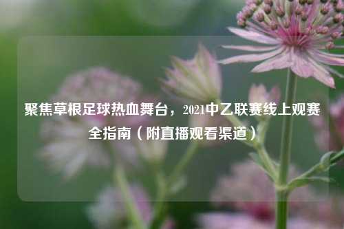 聚焦草根足球热血舞台，2021中乙联赛线上观赛全指南（附直播观看渠道）