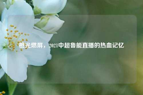 橙光燃屏,2021中超鲁能直播的热血记忆