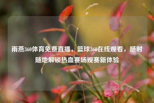 雨燕360体育免费直播,篮球360在线观看,随时随地解锁热血赛场观赛新体验