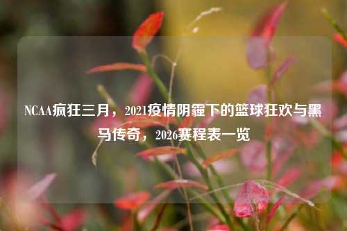 NCAA疯狂三月,2021疫情阴霾下的篮球狂欢与黑马传奇,2026赛程表一览