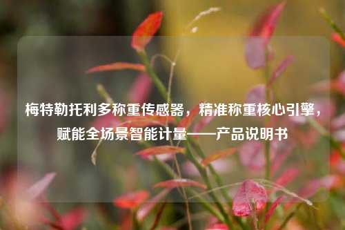 梅特勒托利多称重传感器，精准称重核心引擎，赋能全场景智能计量——产品说明书