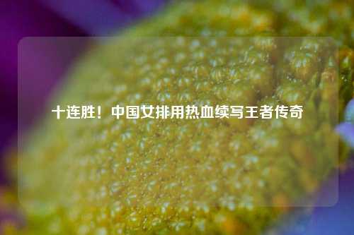 十连胜!中国女排用热血续写王者传奇