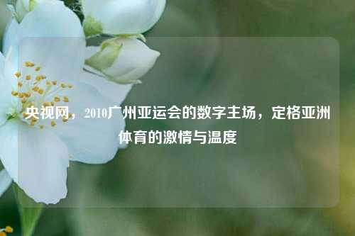央视网，2010广州亚运会的数字主场，定格亚洲体育的激情与温度