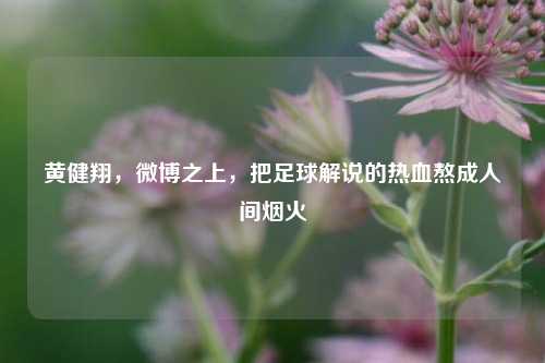 黄健翔,微博之上,把足球解说的热血熬成人间烟火