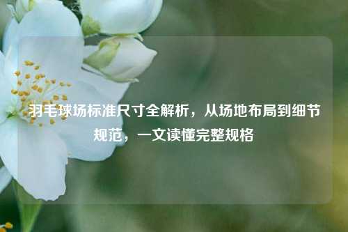 羽毛球场标准尺寸全解析,从场地布局到细节规范,一文读懂完整规格