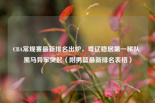 CBA常规赛最新排名出炉，粤辽稳居第一梯队 黑马异军突起（附男篮最新排名表格）