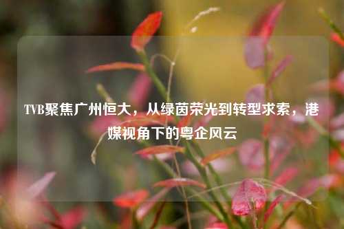 TVB聚焦广州恒大，从绿茵荣光到转型求索，港媒视角下的粤企风云