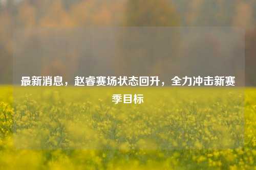最新消息，赵睿赛场状态回升，全力冲击新赛季目标