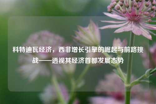 科特迪瓦经济,西非增长引擎的崛起与前路挑战——透视其经济首都发展态势