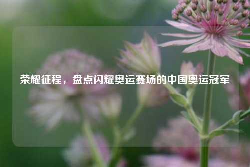 荣耀征程,盘点闪耀奥运赛场的中国奥运冠军