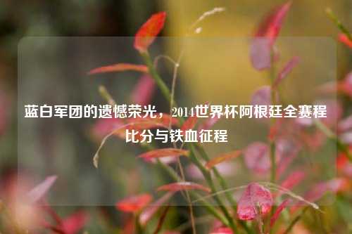 蓝白军团的遗憾荣光,2014世界杯阿根廷全赛程比分与铁血征程