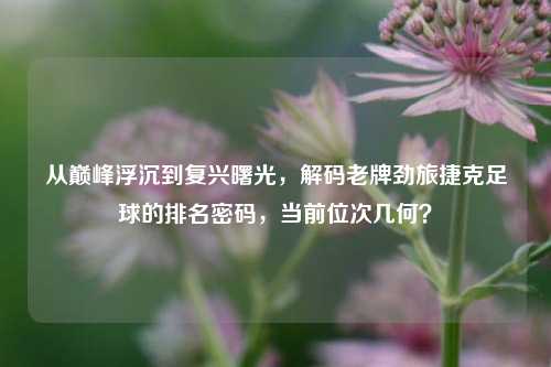 从巅峰浮沉到复兴曙光,解码老牌劲旅捷克足球的排名密码,当前位次几何?