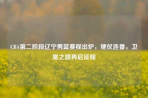CBA第二阶段辽宁男篮赛程出炉，硬仗连番，卫冕之路再启征程