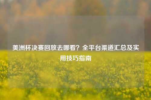 美洲杯决赛回放去哪看？全平台渠道汇总及实用技巧指南