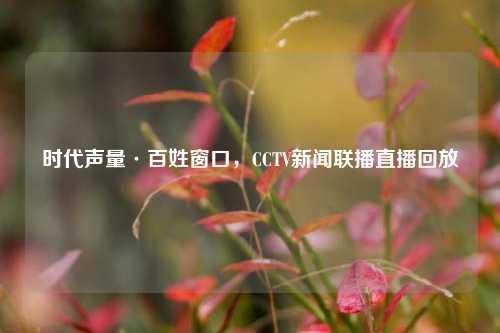 时代声量·百姓窗口，CCTV新闻联播直播回放