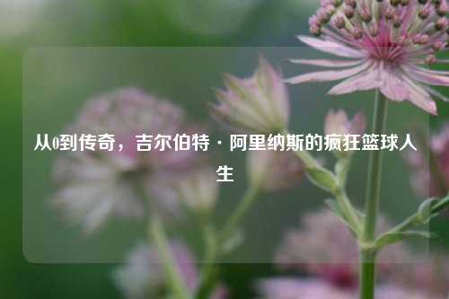 从0到传奇,吉尔伯特·阿里纳斯的疯狂篮球人生