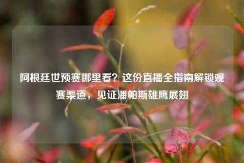 阿根廷世预赛哪里看?这份直播全指南解锁观赛渠道,见证潘帕斯雄鹰展翅