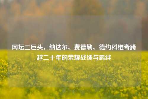 网坛三巨头，纳达尔、费德勒、德约科维奇跨越二十年的荣耀战绩与羁绊