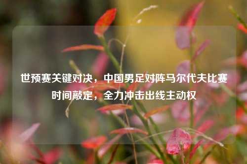 世预赛关键对决，中国男足对阵马尔代夫比赛时间敲定，全力冲击出线主动权