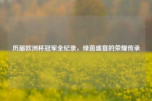 历届欧洲杯冠军全纪录，绿茵盛宴的荣耀传承