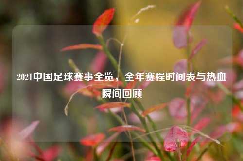 2021中国足球赛事全览，全年赛程时间表与热血瞬间回顾