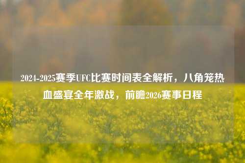2024-2025赛季UFC比赛时间表全解析,八角笼热血盛宴全年激战,前瞻2026赛事日程