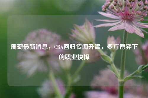 周琦最新消息，CBA回归传闻升温，多方博弈下的职业抉择