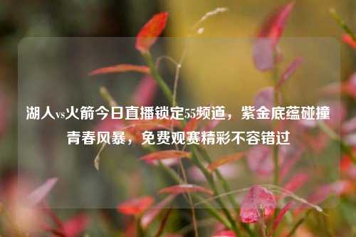 湖人vs火箭今日直播锁定55频道,紫金底蕴碰撞青春风暴,免费观赛精彩不容错过