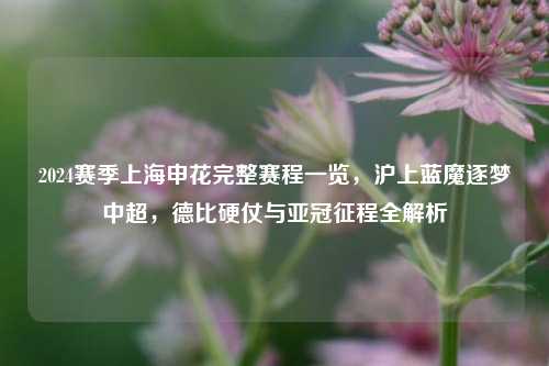 2024赛季上海申花完整赛程一览，沪上蓝魔逐梦中超，德比硬仗与亚冠征程全解析