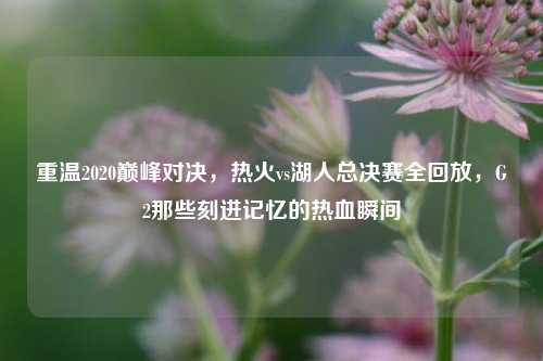 重温2020巅峰对决,热火vs湖人总决赛全回放,G2那些刻进记忆的热血瞬间