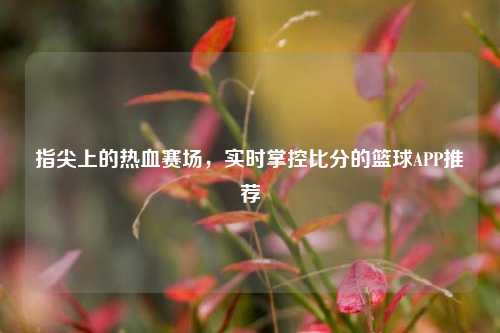 指尖上的热血赛场，实时掌控比分的篮球APP推荐
