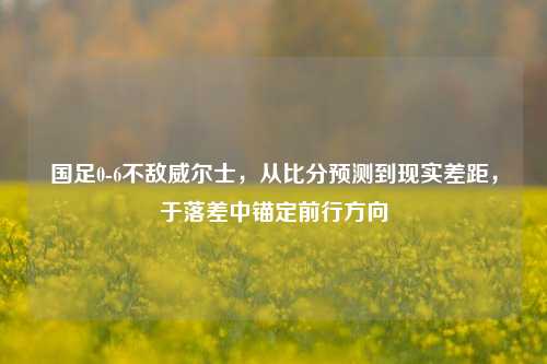 国足0-6不敌威尔士,从比分预测到现实差距,于落差中锚定前行方向