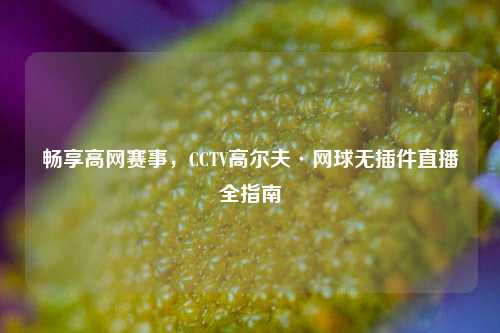 畅享高网赛事，CCTV高尔夫·网球无插件直播全指南
