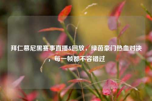 拜仁慕尼黑赛事直播&回放,绿茵豪门热血对决,每一帧都不容错过