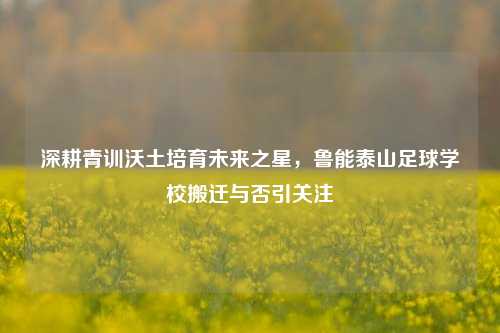 深耕青训沃土培育未来之星，鲁能泰山足球学校搬迁与否引关注
