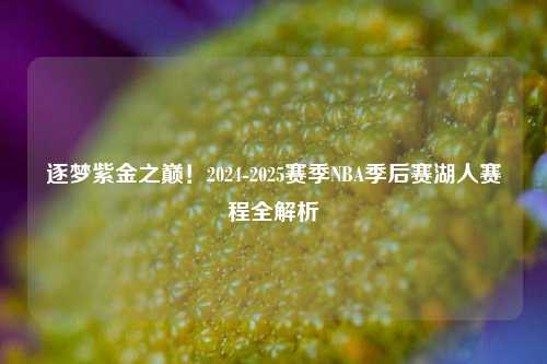 逐梦紫金之巅！2024-2025赛季NBA季后赛湖人赛程全解析